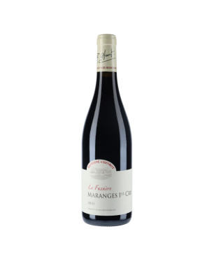 Domaine Chevrot - Maranges 1er cru La Fussière rouge 2021 - vin-malin.fr