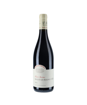 Chevrot - Savigny-les-Beaune 1er Cru "Hauts Jarrons" rouge 2021 - vins