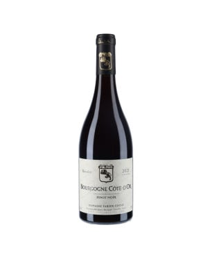 Domaine Fabien Coche Bourgogne Côte d'Or Pinot noir 2021| vin-malin.fr