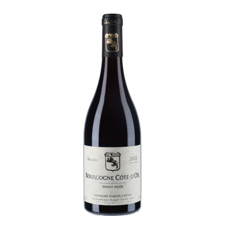 Domaine Fabien Coche Bourgogne Côte d'Or Pinot noir 2021