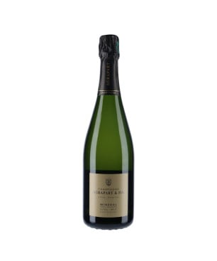 Champagne Agrapart & Fils - Blanc de Blancs "Minéral "2017 - vin-malin