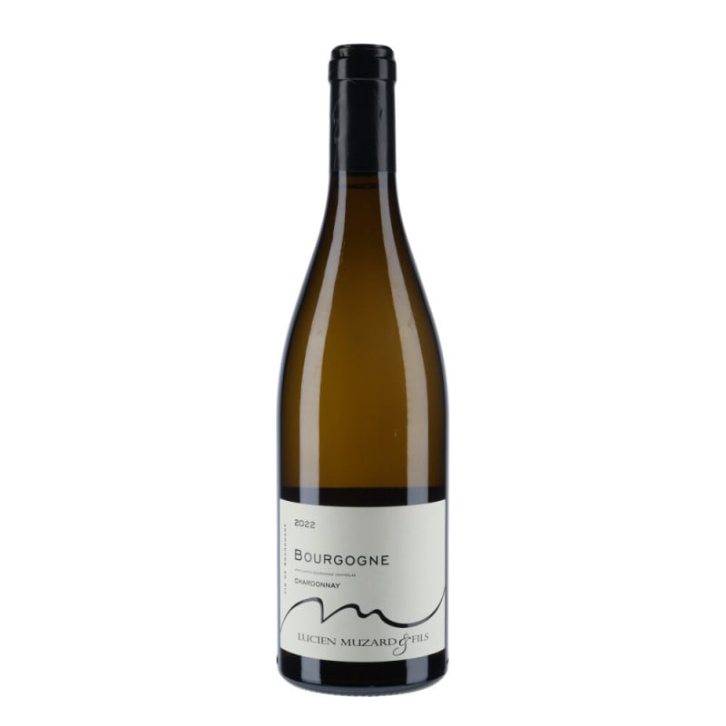 Lucien Muzard & Fils Bourgogne Chardonnay 2022 vin | www.vin-malin.fr