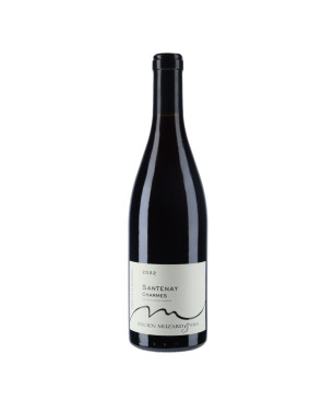 Lucien Muzard & Fils Santenay Charmes 2022 vin rouge| www.vin-malin.fr