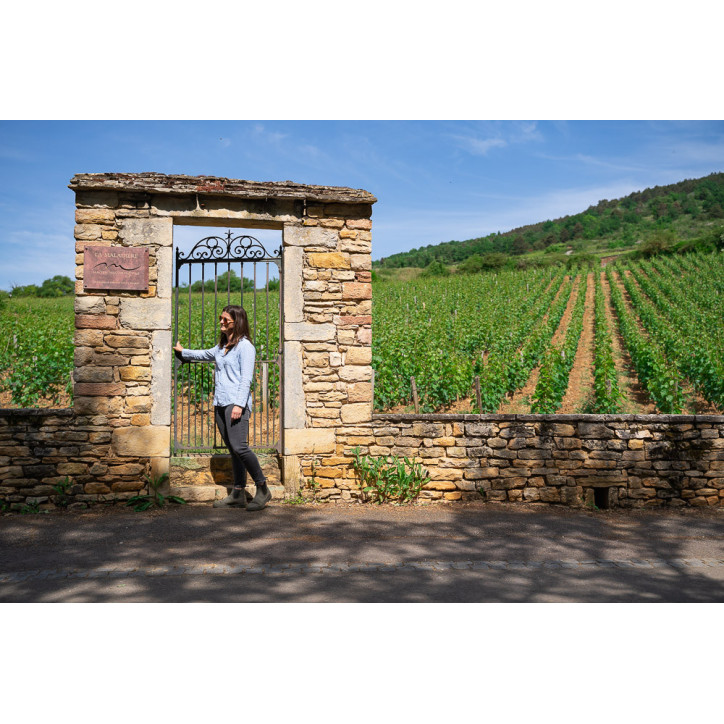 Lucien Muzard & Fils Santenay 1er Cru  Maladières blanc 2022