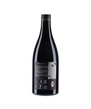 Domaine Michel Magnien - Chambolle-Musigny 2019 - vin rouge|vin-malin