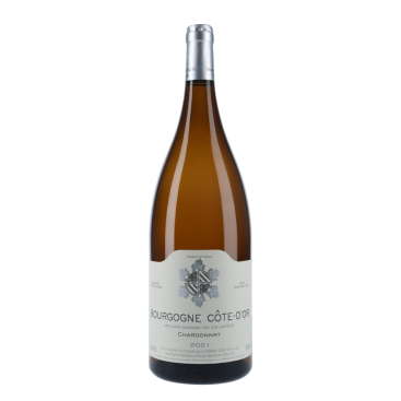 Domaine Bzikot Bourgogne Côte-d'Or Chardonnay 2021 magnum|vin-malin.fr