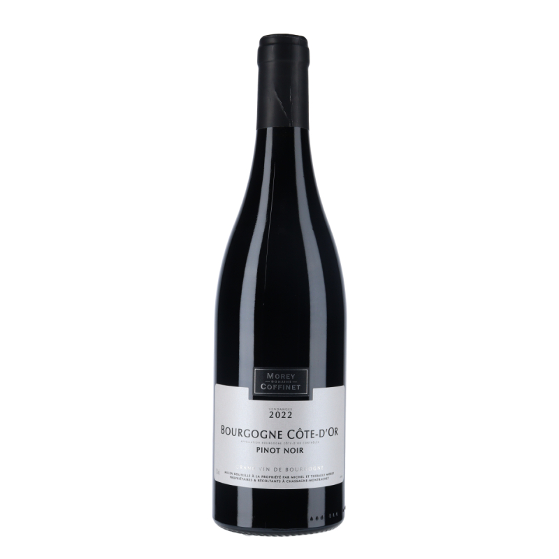 ワイン Bourgogne Pinot 2018 Mongeard-Mugneret Mongeard-Mugneret Bourgogne Pinot Noir - Allerød Vinhandel