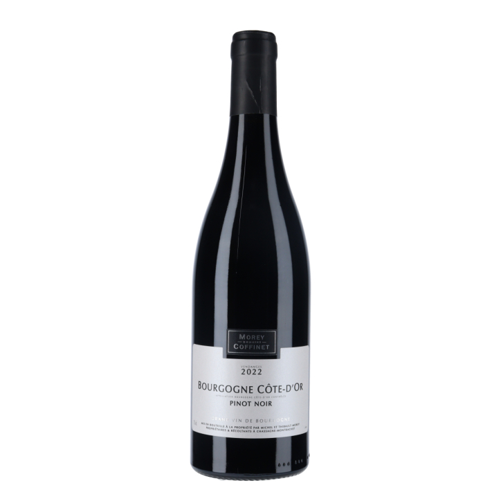 Domaine Morey-Coffinet Bourgogne Côte-d'Or Pinot Noir 2022 Domaine Morey-Coffinet Bourgogne Côte-d'Or Pinot Noir 2022