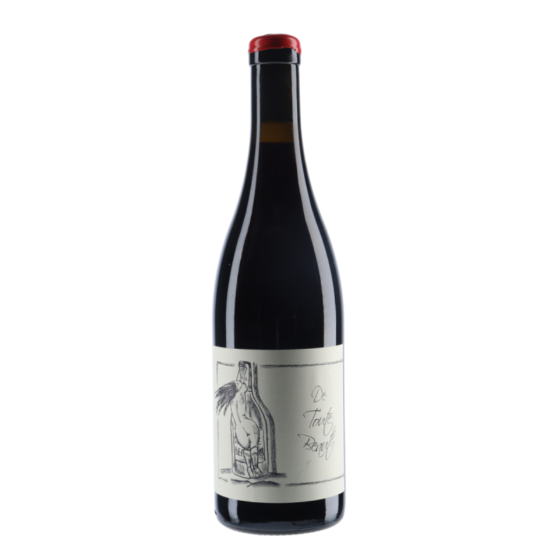 VDF "De Toute Beauté" rouge - Anne et Jean-François Ganevat |vin-malin