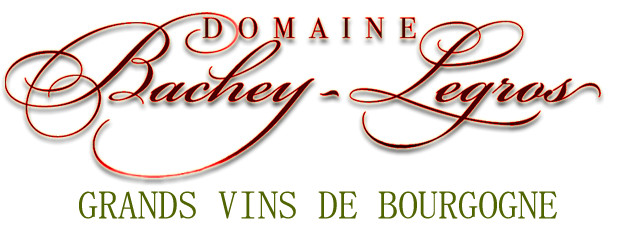 Domaine Bachey-Legros
