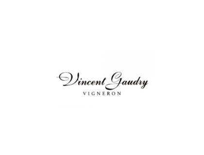 Vincent Gaudry