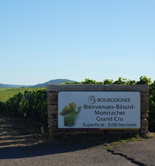 Bienvenues Batard Montrachet