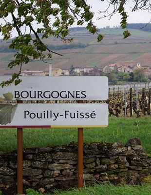Pouilly-Fuissé