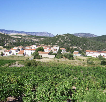 Côtes du Roussillon
