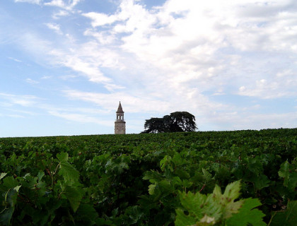 Médoc et Haut-Médoc