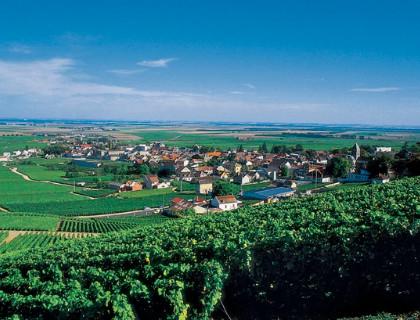 Champagne Blanc de Blancs