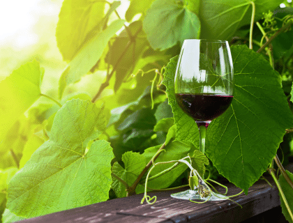 Les vins primeurs Bordeaux 2020, un millésime que l'on ne risque pas d'oublier ! Vin de Bordeaux |vin-malin.fr