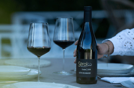 Exprimer ses gouts a un caviste Les conseils de Vin Malin