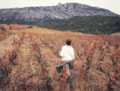 Femmes et vin : vers ne féminisation de la filière viticole |vin-malin.fr