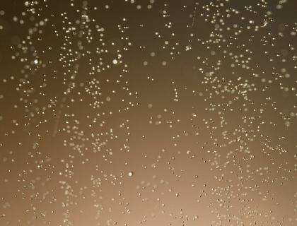 Les différents types de champagne. Choisir son champagne|vin-malin.fr