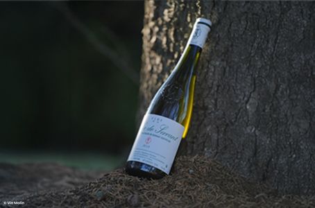 La Coulée de Serrant Nicolas Joly - Vin de Loire
