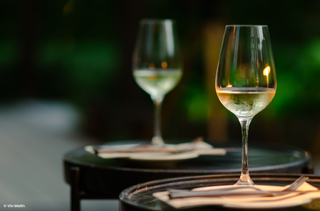 Qu'est ce qu'un vin blanc sec ?