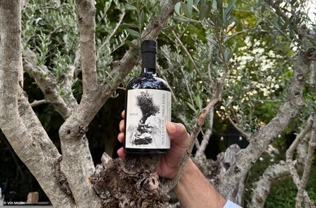 Huile d'olive Patrick Timsit