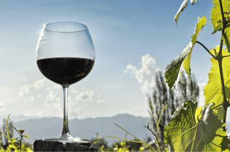 Vins primeurs Bordeaux, tout ce qu'il faut savoir sur le millésime 2022. Achat vins primeurs|vin-malin.fr
