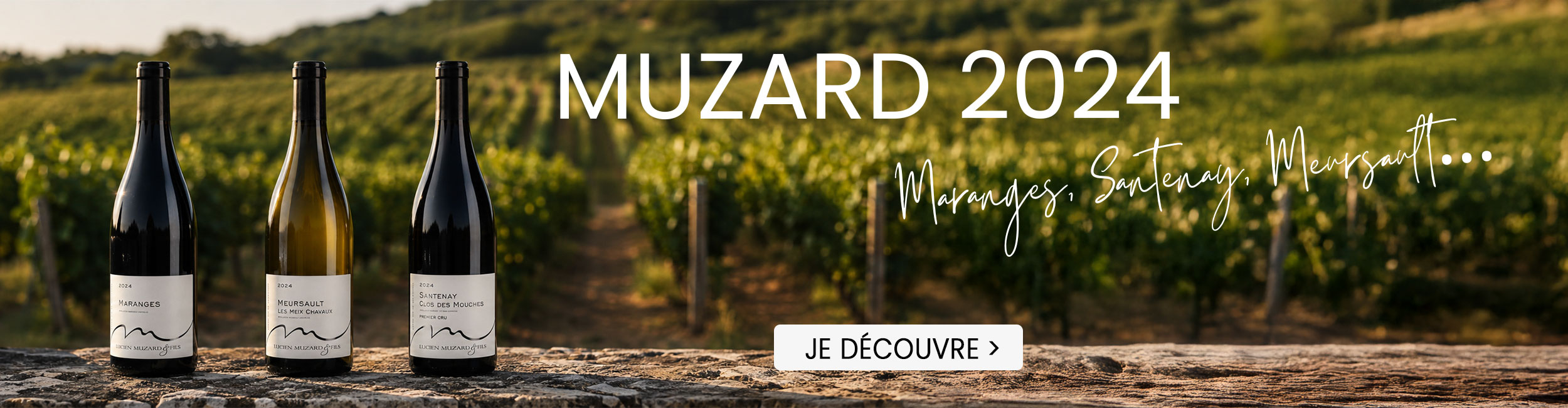 Lucien Muzard & Fils