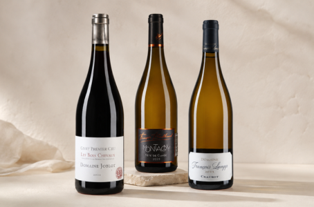 Top 5 des appellations de la Côte Chalonnaise : les pépites de Bourgogne à connaître