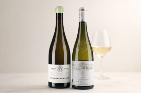 Top 10 des vins blancs secs : notre sélection des meilleurs styles et appellations