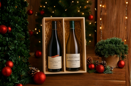 Les meilleurs vins de Bourgogne à offrir : guide complet & sélection Vin Malin