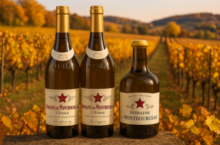 Domaine de Montbourgeau : l’évidence de L’Étoile dans le Jura